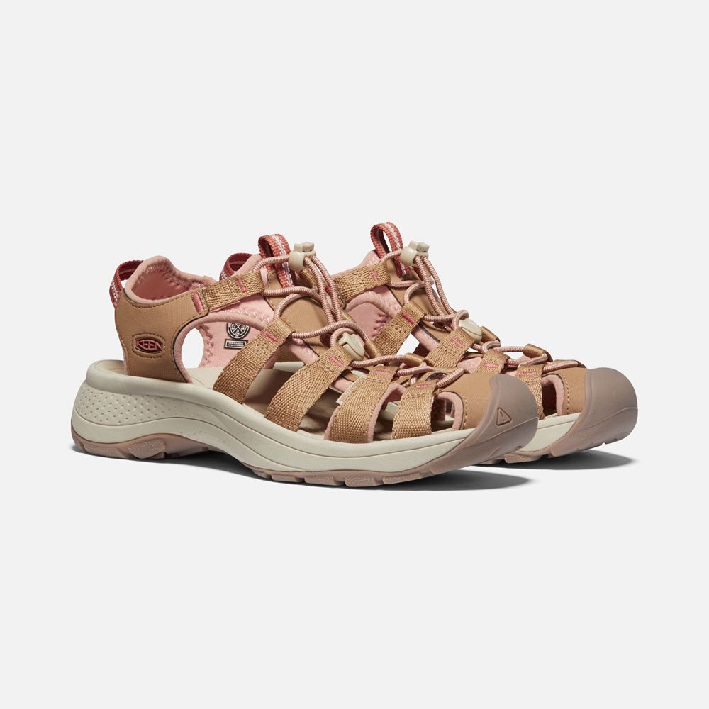 Sandalias Keen Mexico Kaki - Mujer Astoria West - DZ6438025